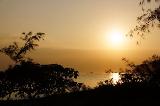 Early Morning Sunrise on Waimanalo Beach on Oahu, Hawaii over Rock Island through the trees and over the clouds.