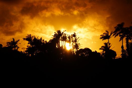 Sunset past tropical silhouette of trees through the clouds on Oahu, Hawaii.  August 2015.