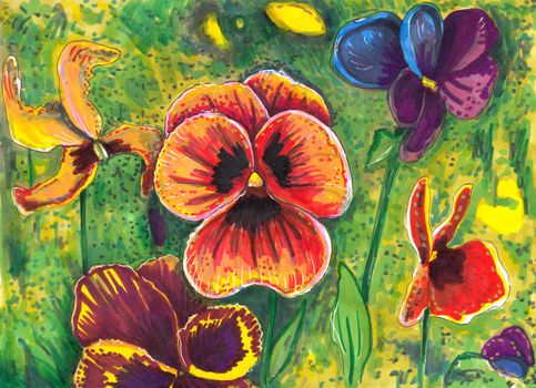 Hand drawn realistic multicolored pansies. Pen markers drawing. Flower illustration.
