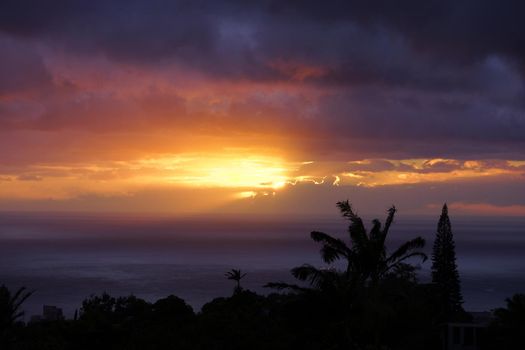 Sunset through the clouds over the pacific ocean past tropical silhouette of trees on Oahu, Hawaii.