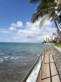 Seaside Path to Makalei Beach Park with Coconut trees hanging over the ocean and beach in distance on Oahu, Hawaii.