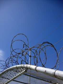 Barb Wire Covers top of Fence covering with Power lines above and blue sky.