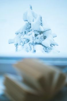 snow outside the window and open book indoor