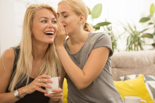 Gorgeous young woman laughing cheerfully while her friend whispering something funny to her ear over a cup of coffee. Beautiful young girls gossiping at the coffee shop copyspace friendship news happiness