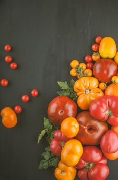 variety of ripe colourful organic tomatoes. High quality photo