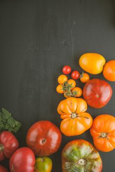 variety of ripe colourful organic tomatoes. High quality photo