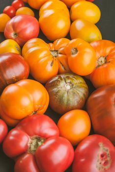 variety of ripe colourful organic tomatoes. High quality photo