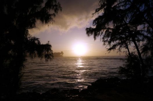 Sunset over the ocean seen through the trees with waves moving to shore on the North Shore of Oahu.    