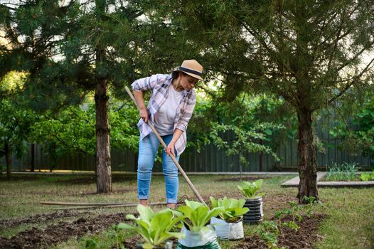 Concentrated woman in straw hat, farmer digging soil while gardening in an ecological vegetable garden in the countryside house. Portrait of an inspired farmer horticulturist working at organic farm