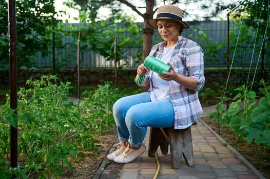 Charming female farmer, gardener, caring for growing vegetables, holding a rope for tying blooming tomato seedlings in an eco farm. Growing environmentally friendly products of our own production