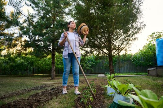 Full-length portrait of a beautiful female gardener posing with spade in the organic farm garden, on a hot early spring day. Farmer loosens the ground next to a flowerbed of planted tomato seedlings