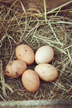 Organic fresh eggs on straw in rustic style