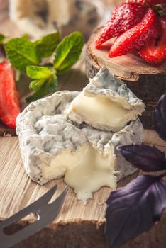 gourmet goat cheese with mold and soft liquid core . High quality photo