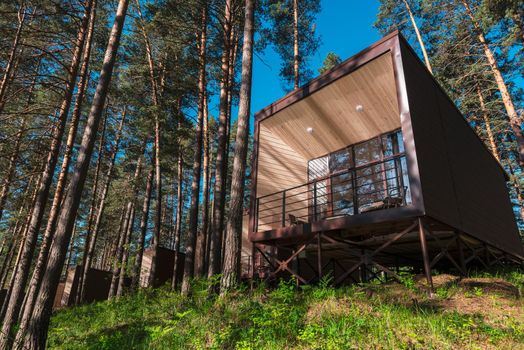 House or hotel with panoramic windows in pine forest. Beautiful summer morning with light sun. Nature or resting and travel concept