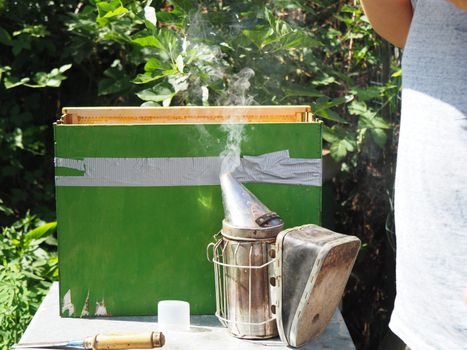 Beekeeper working with bees and beehives on the apiary. Beekeeping concept. Beekeeper harvesting honey Beekeeper on apiary.