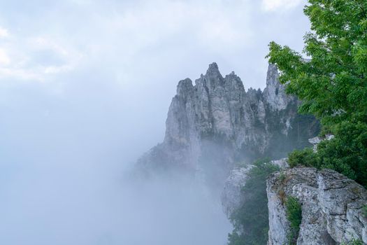 a rock in inclement weather in fog. High quality photo