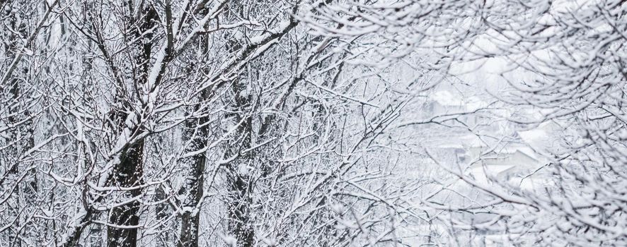 Snowing landscape, winter holiday concept - Fairytale fluffy snow-covered trees branches, nature scenery with white snow and cold weather. Snowfall in winter park. Soft focus