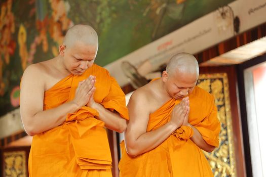 the ordination ceremony that change the Thai young men to be the new monks