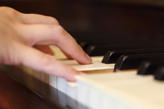 Close up of hands playing the classic wood  piano