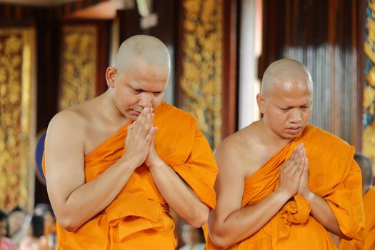 the ordination ceremony that change the Thai young men to be the new monks