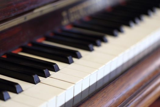 piano keys and wood grain (soft focus) 
