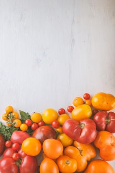 variety of ripe colourful organic tomatoes. High quality photo