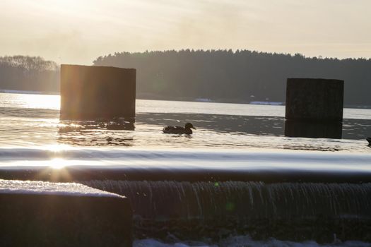 Reservoir in the spring against the backdrop of the setting sun.