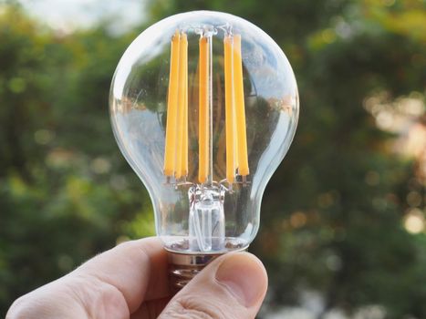 hand holding modern low energy led filament bulb against green background