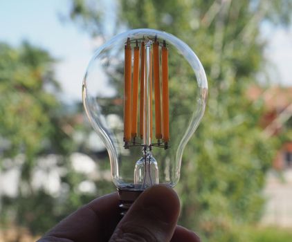 modern energy saving led bulb against green leaves