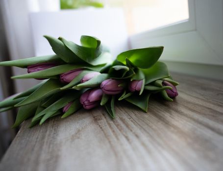 bunch of tulips laying on a wooden background. Copyspace. High quality photo