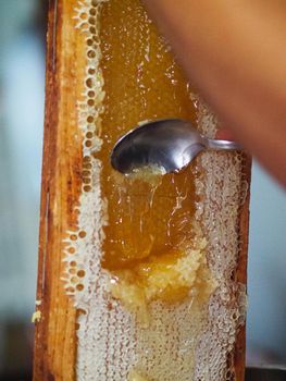 Natural raw honey being filtered ad dripped through a strainer to filter our bees wax.