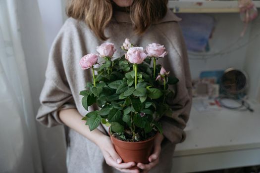 Close-up of a bouquet of pink flowers in female hands on a white background. High quality photo