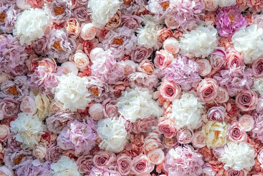 Bright pink roses as background, colorful flowers