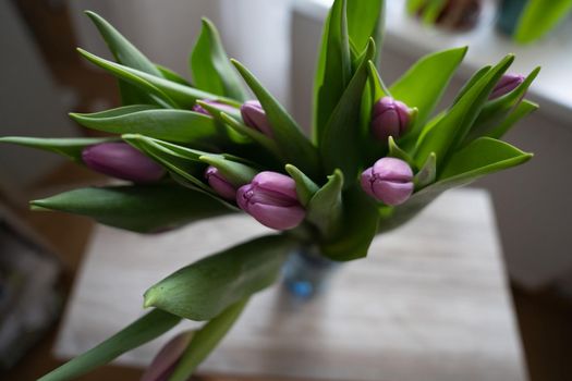 bunch of tulips laying on a wooden background. Copyspace. High quality photo