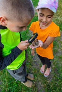 The child looks at the snail. Selective focus. Animal.