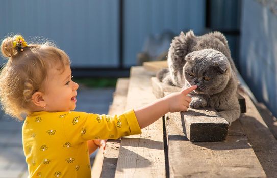 The child plays with the cat. Selective focus. Baby.