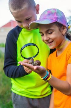 The child looks at the snail. Selective focus. Animal.