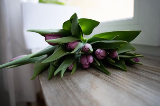 bunch of tulips laying on a wooden background. Copyspace. High quality photo