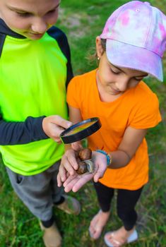 The child looks at the snail. Selective focus. Animal.