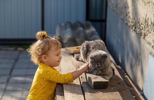 The child plays with the cat. Selective focus. Baby.