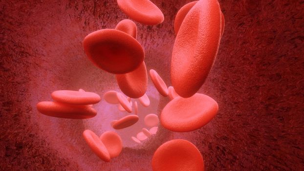 3d rendering Blood cells flowing through arteries or veins 4k