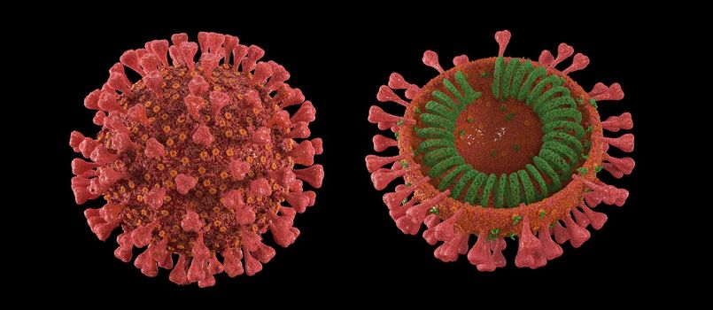 3d render red coronavirus on a black background in 5k