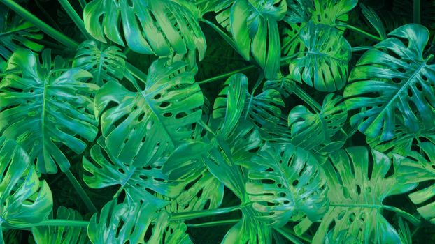 3D rendering cg Green abstract plants background in 4k