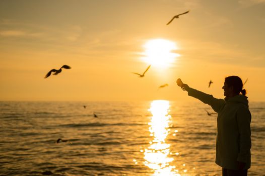 Caucasian woman feeding seagulls on the sea at sunset