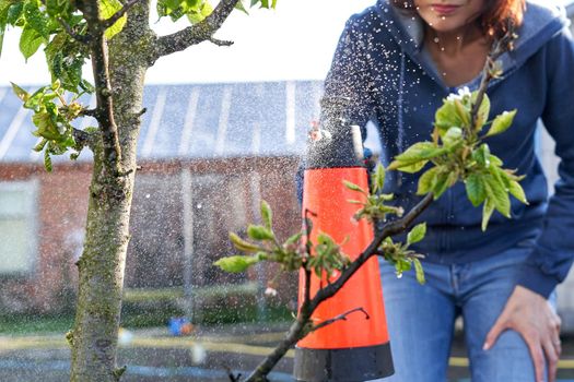 Cropped photo of a unrecognizable woman spraying plants with fertilizer in a home garden