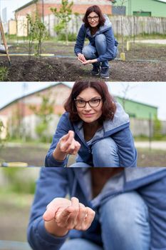 Serial of three frame photo of a woman showing a seed in a vegetable home garden