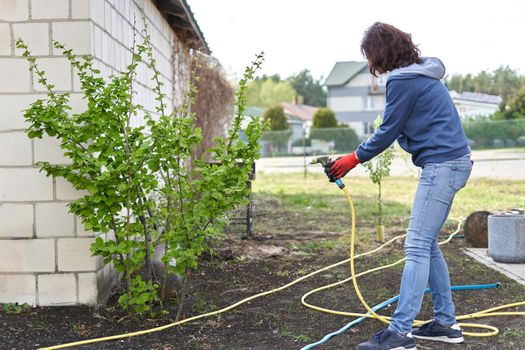 Unrecognizable woman watering plants in a home vegetable garden