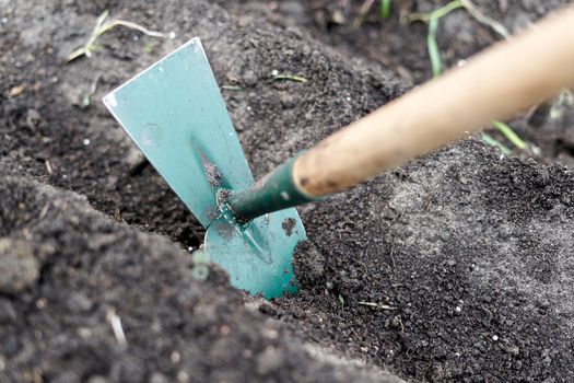 Close up photo of the detail of a hoe digging the soil of a vegetable garden