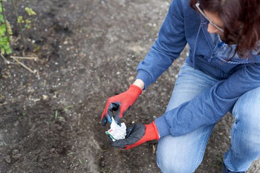 Cropped photo with high angle view of a caucasian woman planting seeds in a home garden