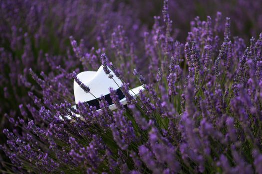 White hat in a lavender field at a Provence
